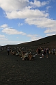Kanary_2010 043